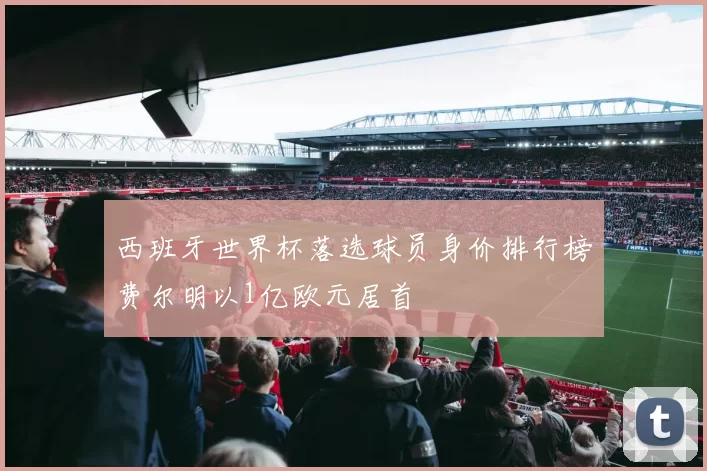 西班牙世界杯落选球员身价排行榜费尔明以1亿欧元居首